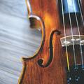 Online Payment - 1 on 1: The Art of Playing the Violin