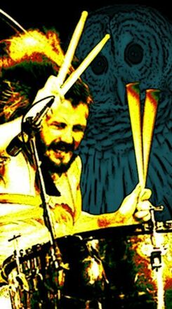 Bonham Drumsticks 3 Pair Promuco DrumSellers