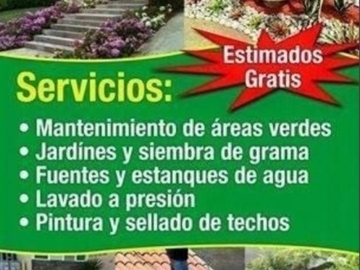Servicios: Estimado Gratis - Hago tu patio área este y metro