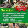 Servicios: Estimado Gratis - Hago tu patio área este y metro