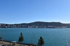 Exclusive to LiveLocal: 180 Degree Harbour Views ⭐ Beautiful Oriental Bay