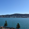 Exclusive to LiveLocal: 180 Degree Harbour Views ⭐ Beautiful Oriental Bay