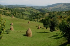 Book (with online payment): Villages typiques de Maramures et Bucovine - Roumanie