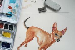  : Custom Pet Portrait - Commission Painting