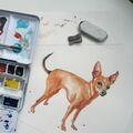  : Custom Pet Portrait - Commission Painting
