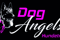 Dienstleistung: Dog Angels Hundetrainer