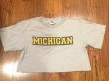 Selling A Singular Item: MICHIGAN  Cropped T-Shirt
