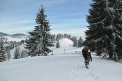 Réserver (avec paiement en ligne): Randonnée en raquette ou ski randonnée - Roumanie
