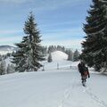 Réserver (avec paiement en ligne): Randonnée en raquette ou ski randonnée - Roumanie
