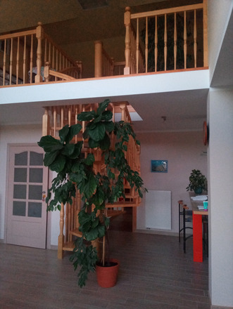 Ferienhaus in Kolberg Ostsee tausche gegen Haus in Berlin