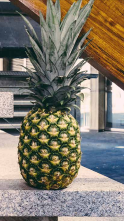 ANANAS FRAIS PAIN DE SUCRE DU PLATEAU D'ALLADA