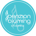 Accept Deposits Online: Bentzion Bluming