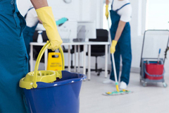 Servicios: Estimados Gratis - Mantenimiento y Limpieza 