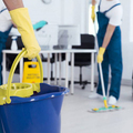 Servicios: Estimados Gratis - Mantenimiento y Limpieza 