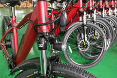 Monthly Rate: Premium Wedgetail Electric Bike