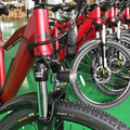 Monthly Rate: Premium Wedgetail Electric Bike