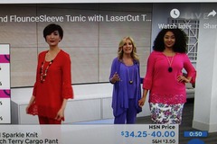 Buy Now: 12 New HSN Slinky Brand Flounce Sleeve Tops  $411 Value