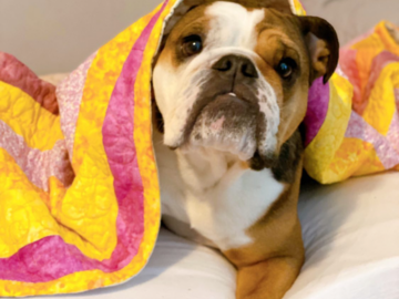 Selling: Quilts  - Handsewn Beautiful Comfort Quilts for Dogs