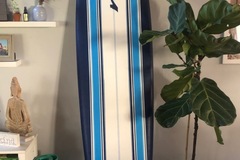 For Rent: Wave Storm Soft Top Longboard