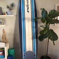 For Rent: Wave Storm Soft Top Longboard