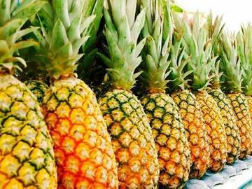 Vendre: Ananas frais export