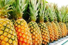 Sell: Ananas frais export