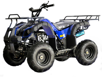 Buy Now: Lot of 2  125cc ATV . UTILITY STYLE . Fully auto with reverse 