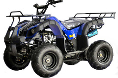 Comprar ahora: Lot of 2  125cc ATV . UTILITY STYLE . Fully auto with reverse 