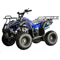 Buy Now: Lot of 2  125cc ATV . UTILITY STYLE . Fully auto with reverse 
