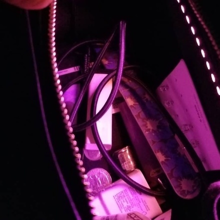Lighted Leather Handbags