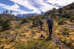 Demande de devis: Hunting for Fossils in Torres del Paine, Chile