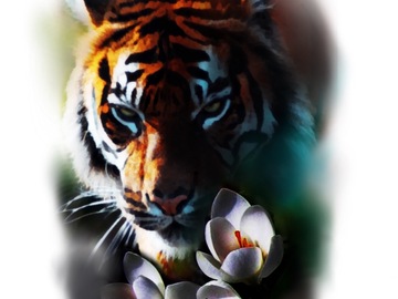 Tattoo design: Tiger Design 