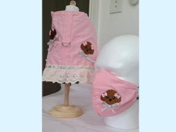 Selling: Harness/Vest with matching Mom/Dad Mask Chocolate Poodle