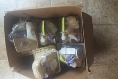 Comprar ahora: 5pcs of Box of Spa/Gift Baskets