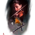 Tattoo design: Violinist and Robin