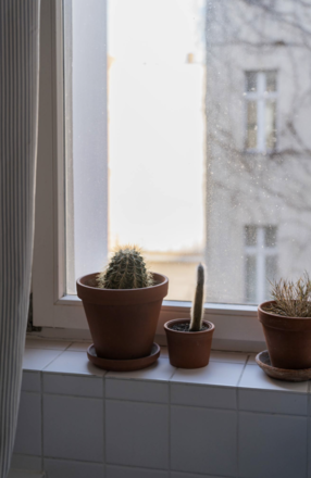 Suche 4-Raum Wohnung, biete 2-Raum Wohnung