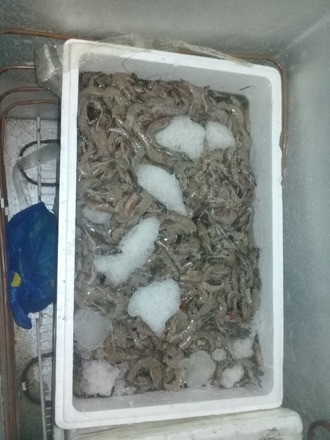 VENTE DE FRUITS DE MER ET D'AUTRES PRODUITS DE  L'AGRICULTURE 