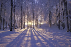 Selling: 21.12 WINTER SOLSTICE WISH CEREMONY