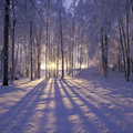 Selling: 21.12 WINTER SOLSTICE WISH CEREMONY