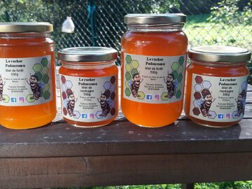 Les miels : Miel de forêt des Pyrénées 