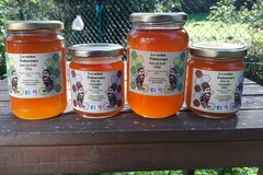 Les miels : Miel de forêt des Pyrénées 