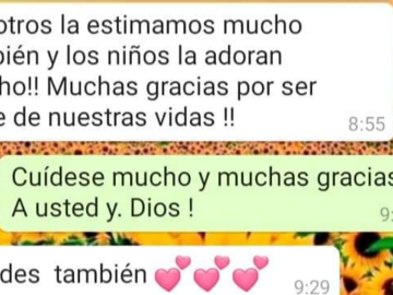Profile Of Baby Sitter Teacher Spanish Veebee