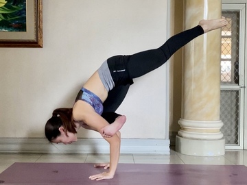 Private Session Offering: personalized Vinyasa flow