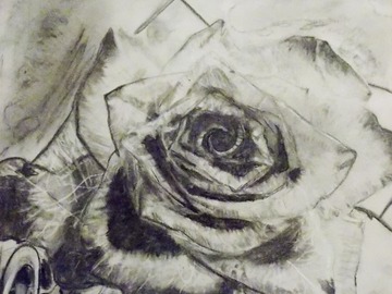 Sell Artworks: Black rose