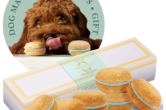 Selling: Mint Dog Macarons - #1 best dog gift by Marie Claire