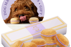 Selling: Lavender Dog Macarons - #1 best dog gift by Marie Claire