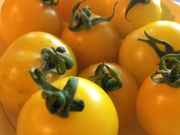 pay online or by mail: Hartman's Yellow Gooseberry Tomato