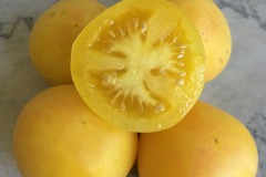pay online or by mail: Yellow Garden Peach Tomato