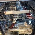 À vendre: Lave-vaisselle AEG 8060vi