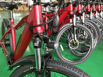 Monthly Rate: Premium Wedgetail Electric Bike (3 monthly) 
